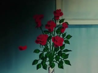[flores del apartamento de darien cuando rompio con serena[5].jpg]