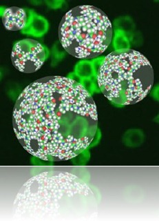 nanoparticulas nanoparticulas