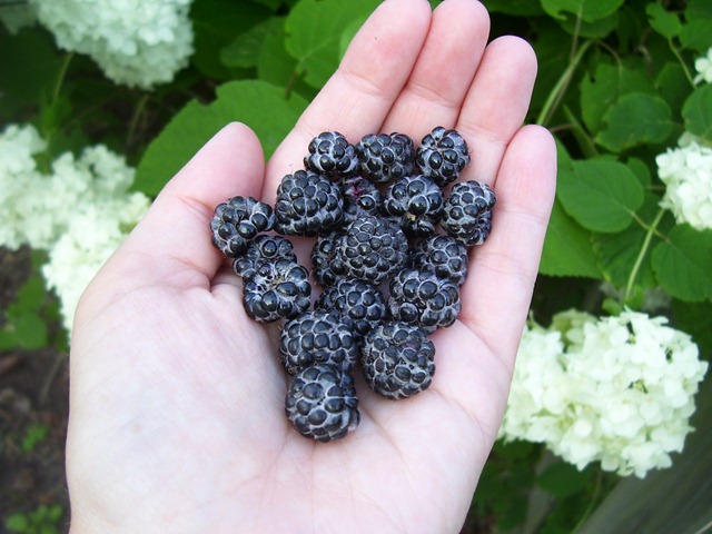 [summer0013.jpg]