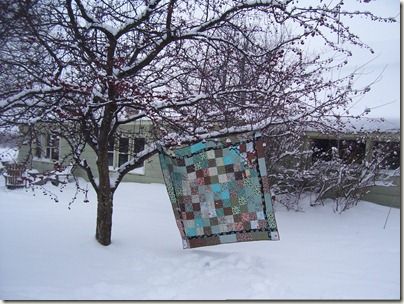 quilts, chickens, winter 007
