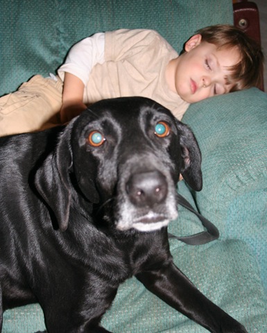 [new_babysitter[13].jpg]
