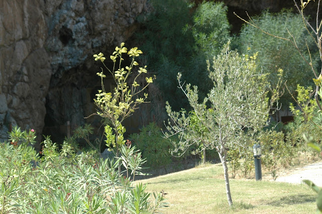 Εικόνα