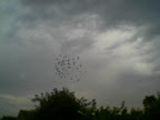 Image(09).jpg