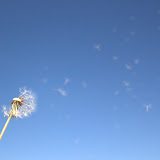 CRW_2082.jpg