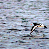 CRW_5861.jpg