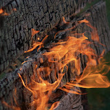 Fire
