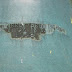 DSCN3623.JPG