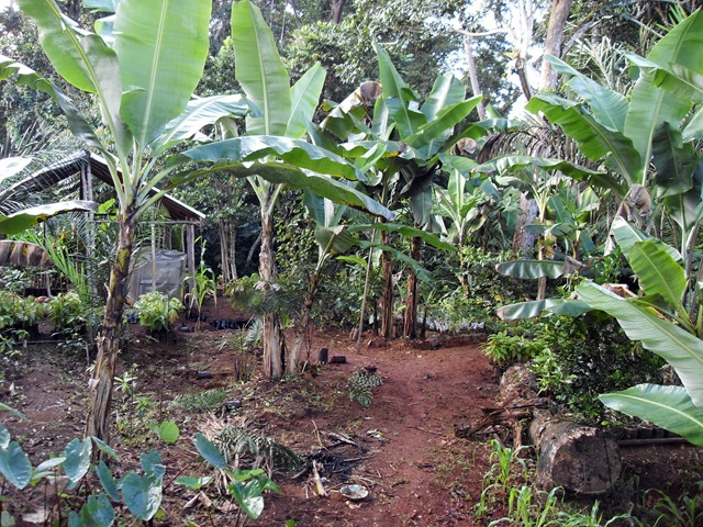 [SDC104248.jpg]