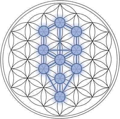 The Tree of Life inside the Flower of Life