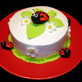 Lady Bug Cake 2-20-10 053.jpg