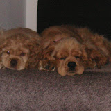 PICT2894.JPG