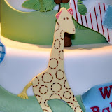 Pottery Barn Jungle Cake 7-17-10044.JPG