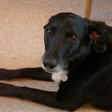 20091220 - Monty