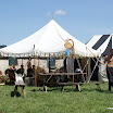 DSC05674.JPG