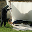 DSC01264.JPG