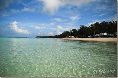 Bora2011 (99)
