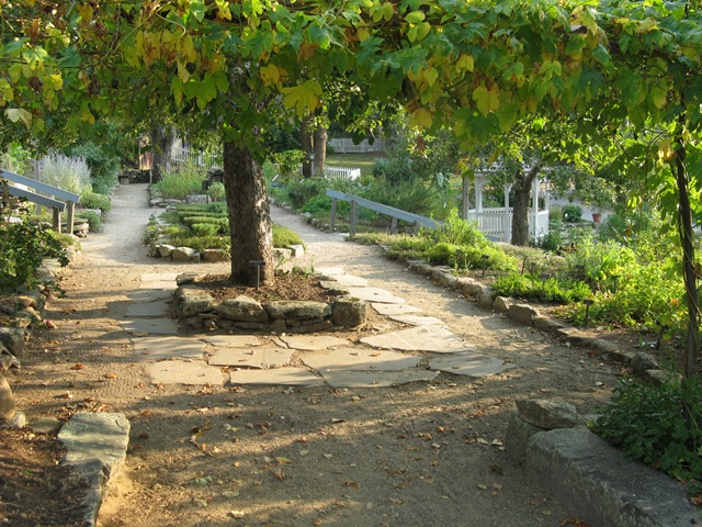 [IMG_29513.jpg]
