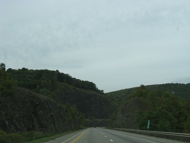 [IMG_29743.jpg]