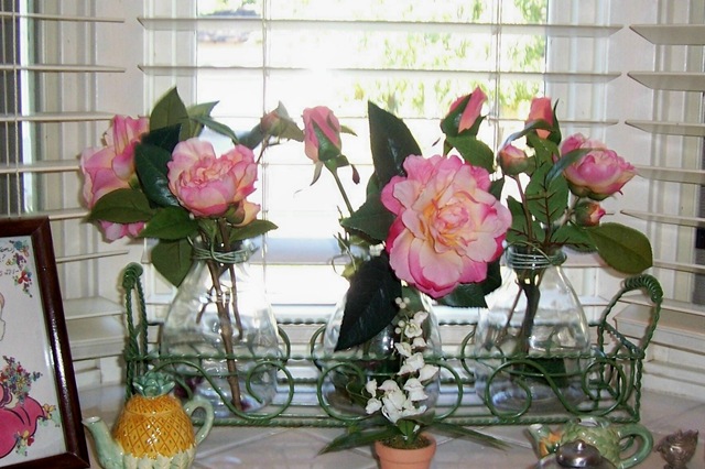 [flowers in kitchen window3[5].jpg]