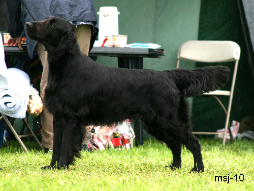 Black Mica's That's Enough