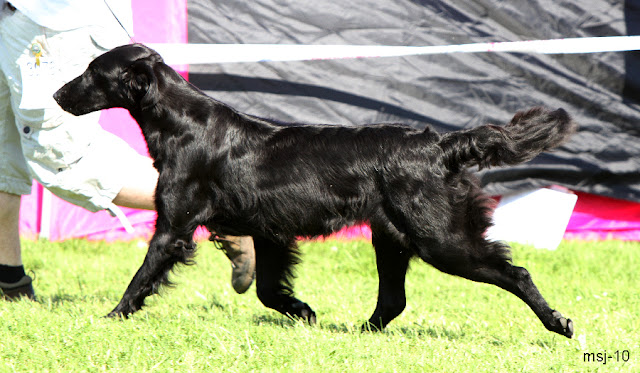 llantrussa-chiquitita4.jpg