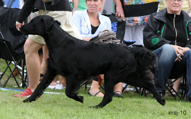 almanza-murphys-irish-s2.jpg