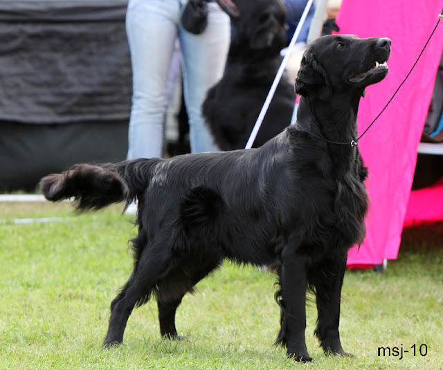 black-micas-not-your-buisne.jpg