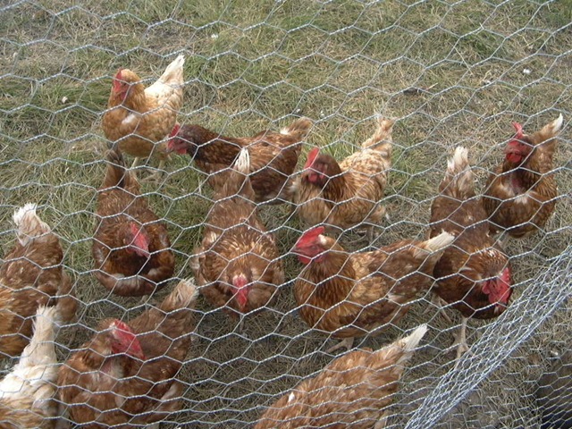 [P10005453.jpg]
