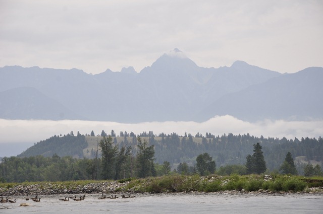 [06-08-2009 10-56-19 AM_0654[9].jpg]