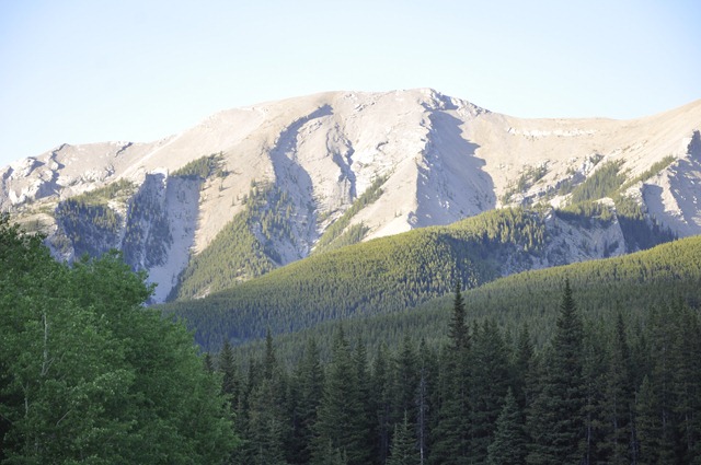 [View1[2].jpg]