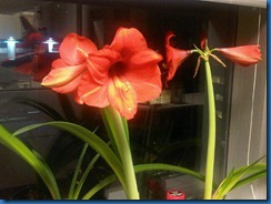 IMG00167-20110321-0643
