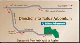 Taitua