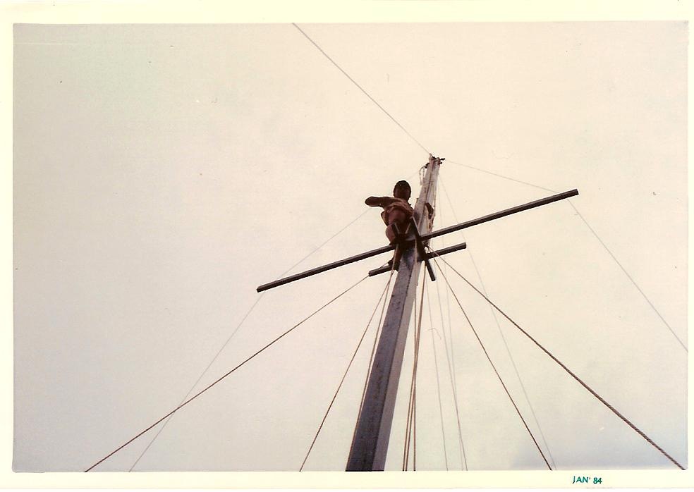 [Mast climber[3].jpg]