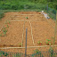 ceae's ELAM Allotment garden