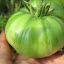 Tomato 'Ferris Wheel'