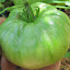 Tomato 'Hawaiian Pineapple'
