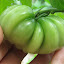 Tomato 'Black Ruffles' 