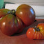 Tomato '1884'