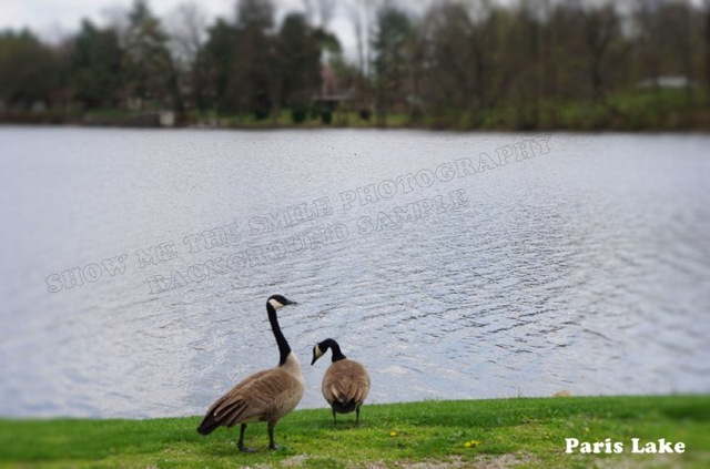 [Twin Lakes, Paris IL[4].jpg]