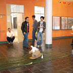 DSCN0616.JPG