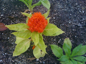 Posted via web from gregvedders's posterous