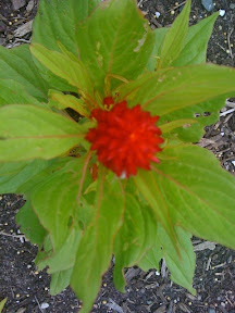 Posted via web from gregvedders's posterous