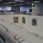 IMAG0005.jpg