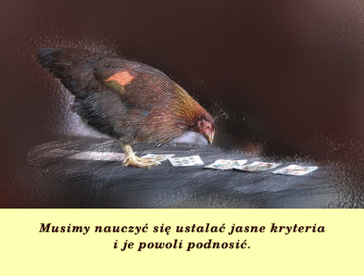 Musimy nauczyć się ustalać jasne kryteria.