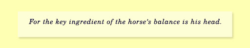For the key ingredient of the horse’s balance is his head.