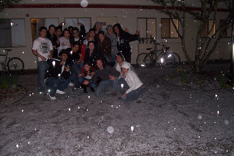 snowday The night it snowed in Santa Cruz