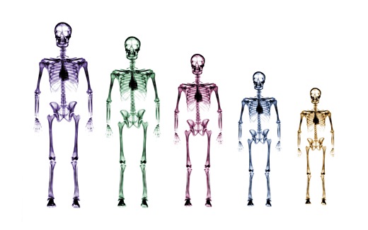 (34)HD-X-Ray-View-Desktop-Wallpaper-generation