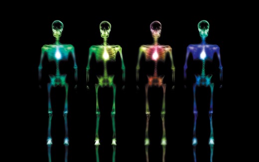 (36)Row-Widescreen-X-Ray-Hd-Desktop-Wallpaper