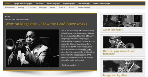 [Wynton-Magazine -Free- premium-magazine-style- wideget-ready -wordpress-theme-2009[2].jpg]