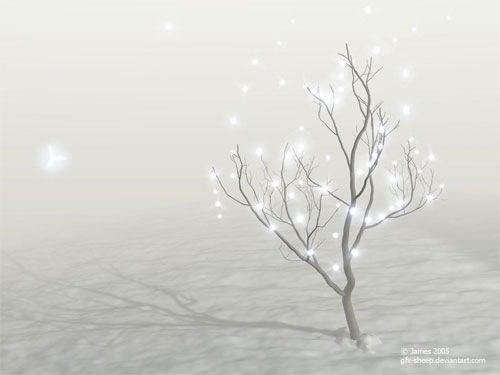 show-white-light-christmas-tree-wallpaper.jpg